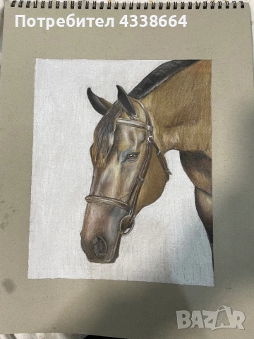 Продавам картина