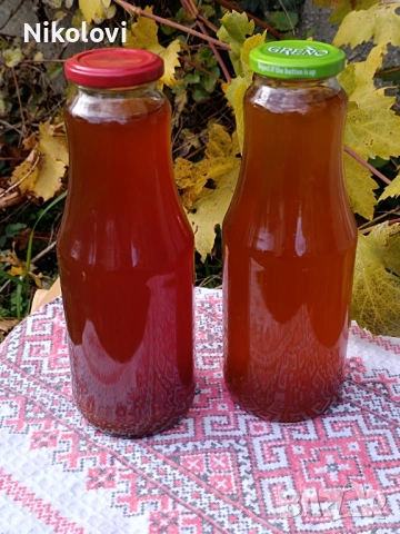 Домашен сироп от диви шипки с разреждане , снимка 2 - Домашни продукти - 53135711