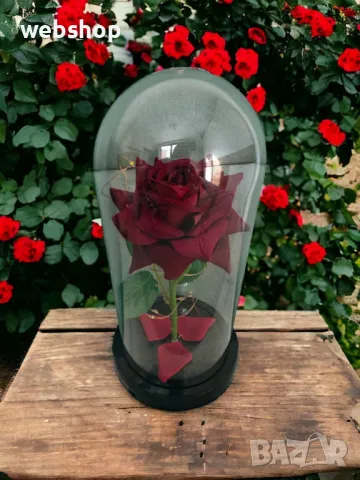 Стилен подарък за жена - Вечна роза в стъкленица , снимка 1