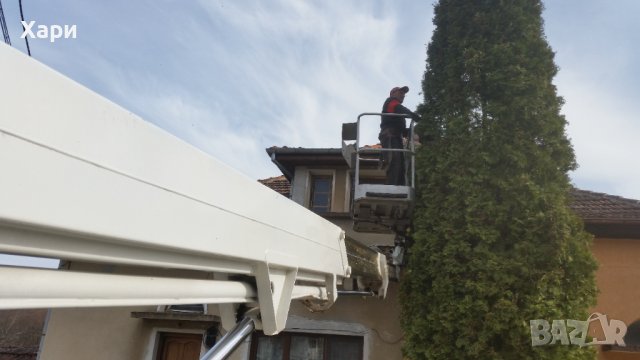 кастрене на опасни дървета, снимка 5 - Други услуги - 35375709