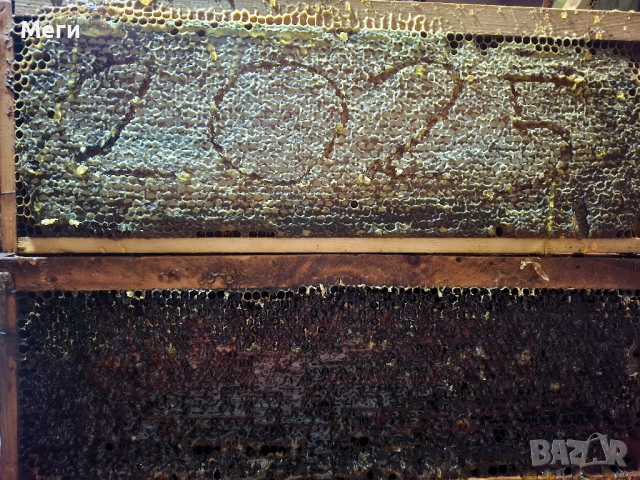 Продавам домашен пчелен мед.Собствено произвдоство.Гарантирано качество.Без добавки., снимка 7 - Пчелни продукти - 39311531