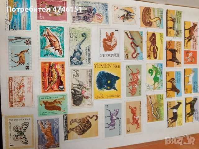 Марки, снимка 11 - Колекции - 53604006