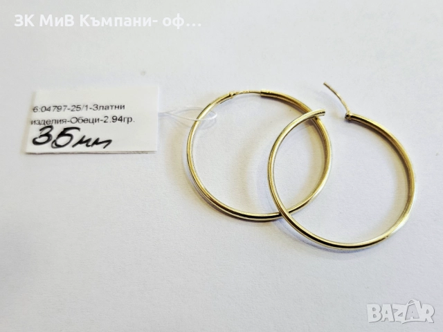 Златни обеци 2.94гр 04797-25