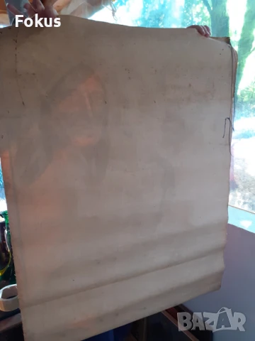 Много стар плакат антропологичен печат Човешките раси 1925г., снимка 7 - Антикварни и старинни предмети - 51169546