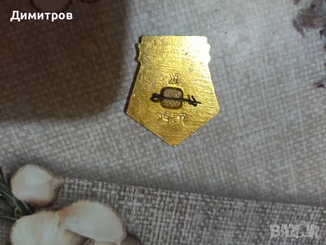 Значки, снимка 9 - Колекции - 38991824