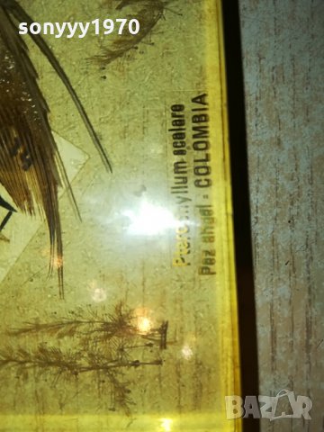 colombia scalare-germany 0407211212, снимка 16 - Колекции - 33416122