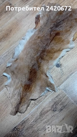 еленова кожа, снимка 5 - Други ценни предмети - 51069576