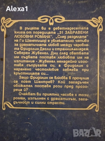 " След раздялата ", снимка 3 - Художествена литература - 53277643