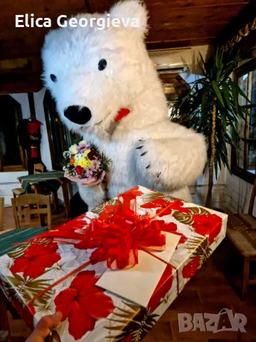 Бяло мече Варна, bialomeche, снимка 12 - Детегледачки, детски центрове - 48374405