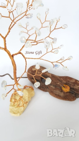 Дръвче Лунен Камък Едър , снимка 4 - Други - 52107633