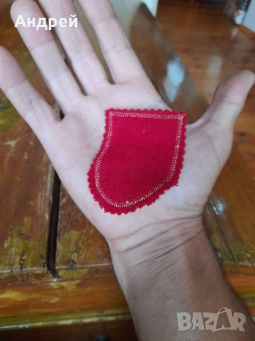 Стара емблема Рилски Манастир, снимка 3 - Други ценни предмети - 51859353