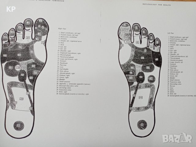  Книги за обучение по масаж и рефлексология , снимка 9 - Специализирана литература - 42028182