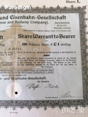 Акция | Otavi Mines & Railway Company | 1921г., снимка 5 - Други ценни предмети - 28298615