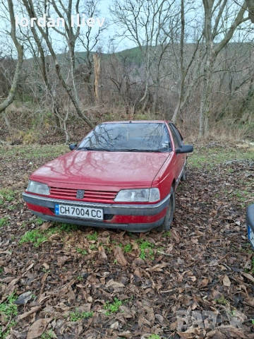 Peugeot 405