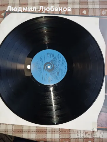Грамофонна плоча Bee Gees , снимка 3 - Грамофонни плочи - 50128999