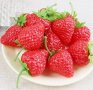 10 бр. ягоди ягода изкуствени като истински декоративни декорация, снимка 4
