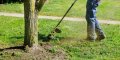  Косене на трева и храсти Велико Търново, снимка 1 - Други почистващи услуги - 33202749