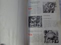 Книга Инструкция за обслужване на Полски Фиат 125p  Варшава Полша 1973 година, снимка 10