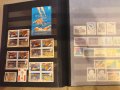 Голям класьор пощенски марки Бразилия, снимка 9
