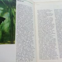 Мир аквариума - Г.Романишин,В.Мишин - 1986г., снимка 3 - Други - 36936774