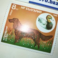 МАРКА 3 НРБ 1985 ИРЛАНДСКИ СЕТЕР 1203231544, снимка 3 - Филателия - 39972380