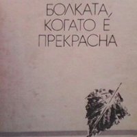 Болката, когато е прекрасна Димитър Коруджиев, снимка 1 - Българска литература - 28602852