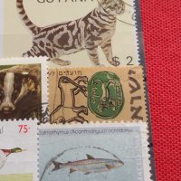 Лот Пощенски марки смесени серий ЖИВОТНИ от цял свят за КОЛЕКЦИЯ 22629, снимка 5 - Филателия - 40364741