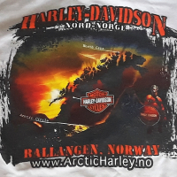 тениска с дълъг рукав Harley-Davidson. Официален продукт, снимка 9 - Тениски - 44846667