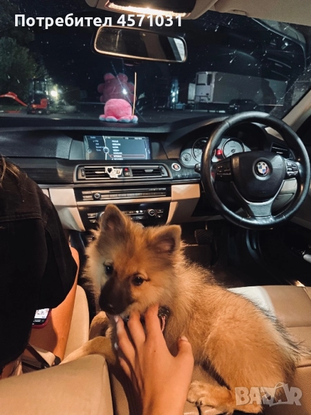 Продава се , снимка 1