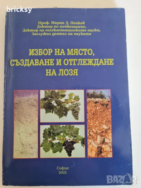 Избор на място създаване и отглеждане на лозя Марин Пенков, снимка 1