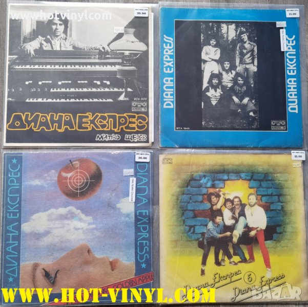 Грамофонни плочи на Диана експрес, снимка 1