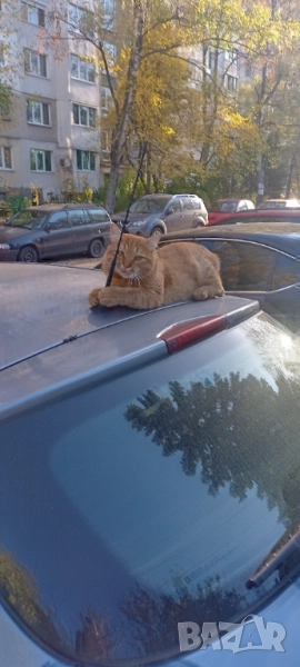 Работник Товаро-Разтоварна Дейност Търси Работа , снимка 1