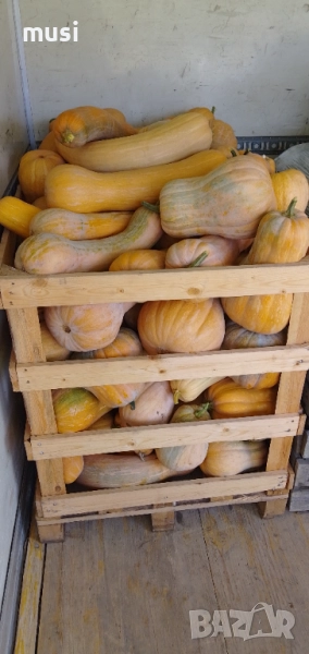 Тикви за животни , снимка 1