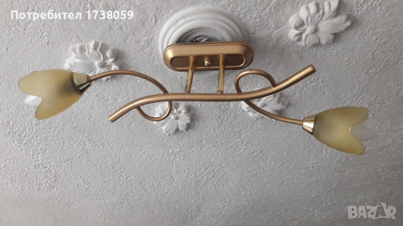 Полилей, снимка 1