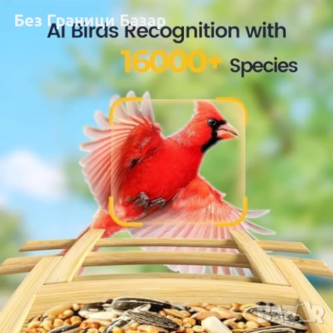 Нова Смарт хранилка за птици с камера, бамбук, AI, 2K, соларна, слънчева, снимка 2 - Други стоки за дома - 51108181