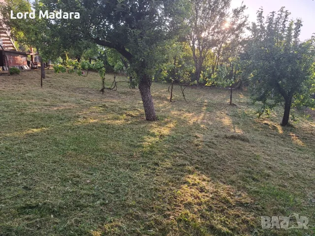 Косене на трева и рязане на дърва за Кюстендил и близките села, снимка 4 - Други почистващи услуги - 50291887