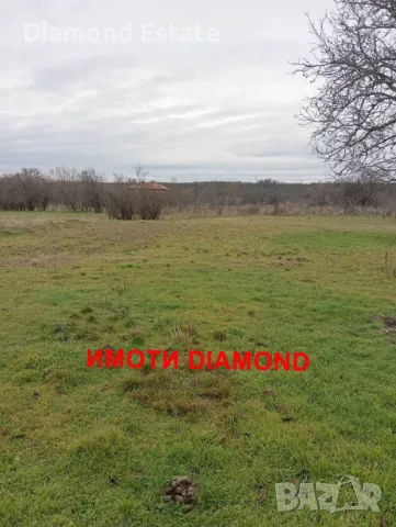 Двуетажна къща в село Димитриево общ. Чирпан, снимка 9 - Къщи - 48612242