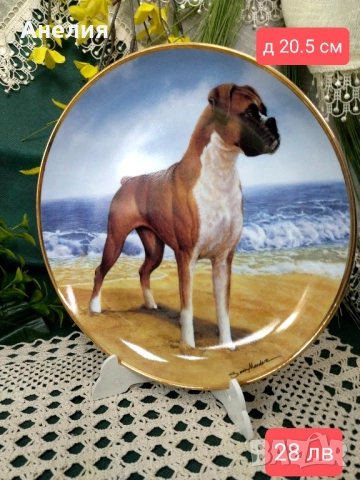 Колекционерски чинии Боксер, снимка 17 - Декорация за дома - 51883321