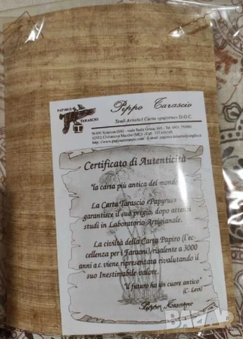 Оригинален папирус от Сиракуза (Сицилия) - Архимед, 18 х 13 см, снимка 4 - Картини - 53129520