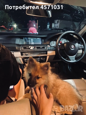 Продава се , снимка 1