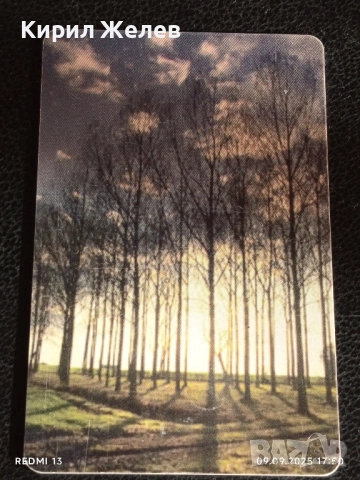 Две фонокарти БЕТКОМ,БУЛ ФОН тема ОРХИДЕЯ,ПРИРОДА за КОЛЕКЦИЯ ДЕКОРАЦИЯ 33468, снимка 6 - Колекции - 51657128