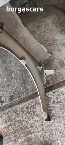 Калник десен  Seat Leon II 2008г - 100лв, снимка 3 - Части - 52652884