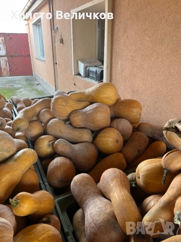 Тиква цигулка, снимка 3 - Други - 52136842