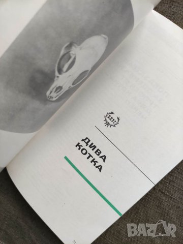 Продавам Ловни трофей каталог 1972, снимка 4 - Други - 33574900