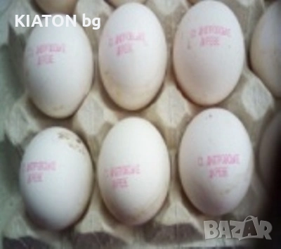 Касета CM500 (Collins) на водна основа червена 12.7мм, снимка 2 - Други машини и части - 52260211