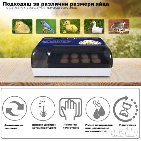 ПРОМОЦИЯ! Автоматичен инкубатор за 12 броя яйца, снимка 2 - Други стоки за животни - 44082486