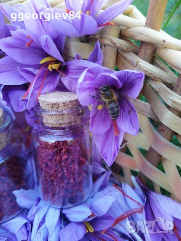 Български шафран 1-во качество, снимка 8 - Хранителни добавки - 37502196