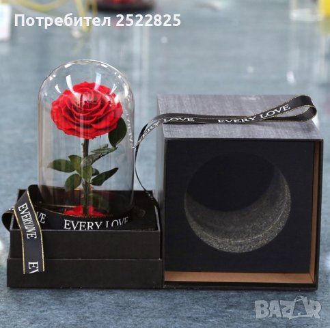 Вечно цвете  Розата "Красавицата и Звяра", снимка 1 - Декорация за дома - 43988663