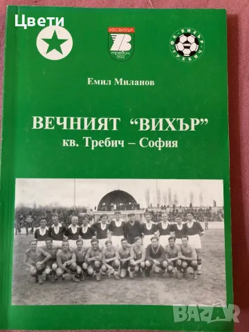 Футбол Вечният Вихър квартал Требич София 