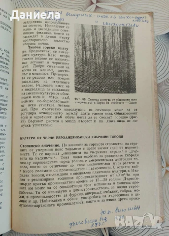 Горски култури и селекция, снимка 3 - Специализирана литература - 50539133